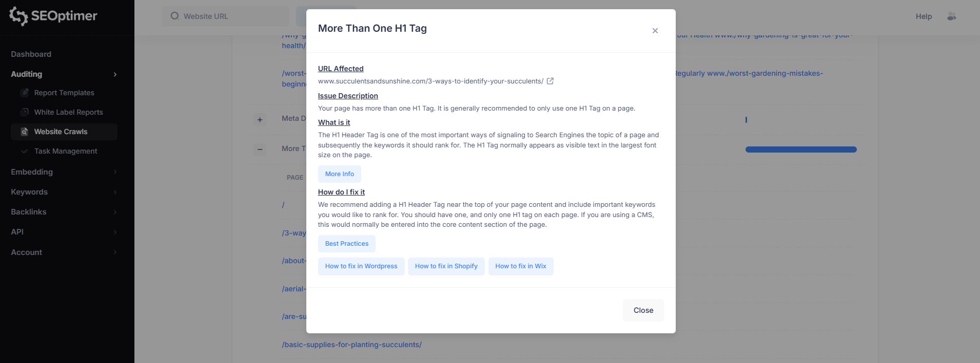 More than one H1 tag